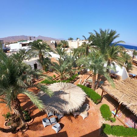 Miramar Camp Dahab Hotel Eksteriør billede