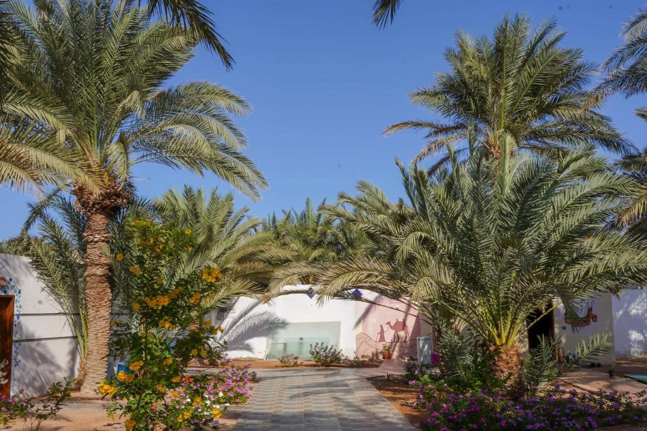 Miramar Camp Dahab Hotel Eksteriør billede
