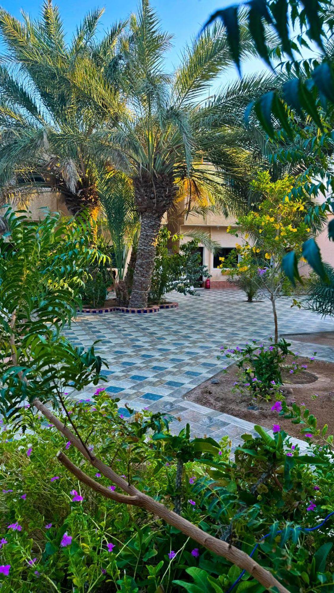 Miramar Camp Dahab Hotel Eksteriør billede