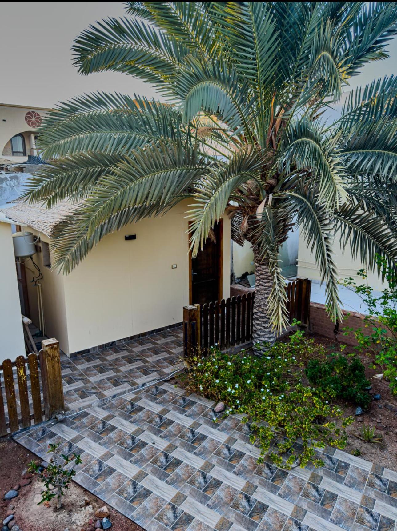 Miramar Camp Dahab Hotel Eksteriør billede