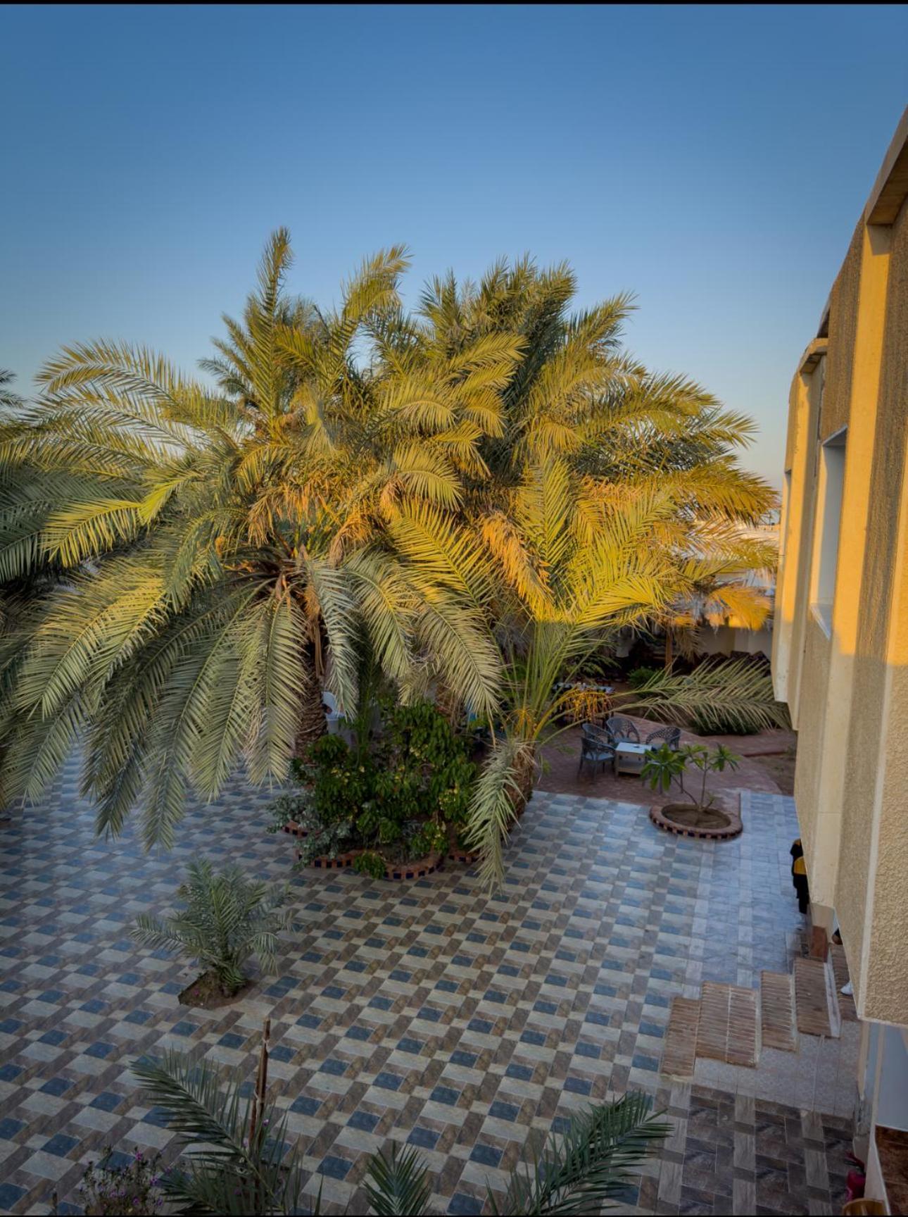 Miramar Camp Dahab Hotel Eksteriør billede