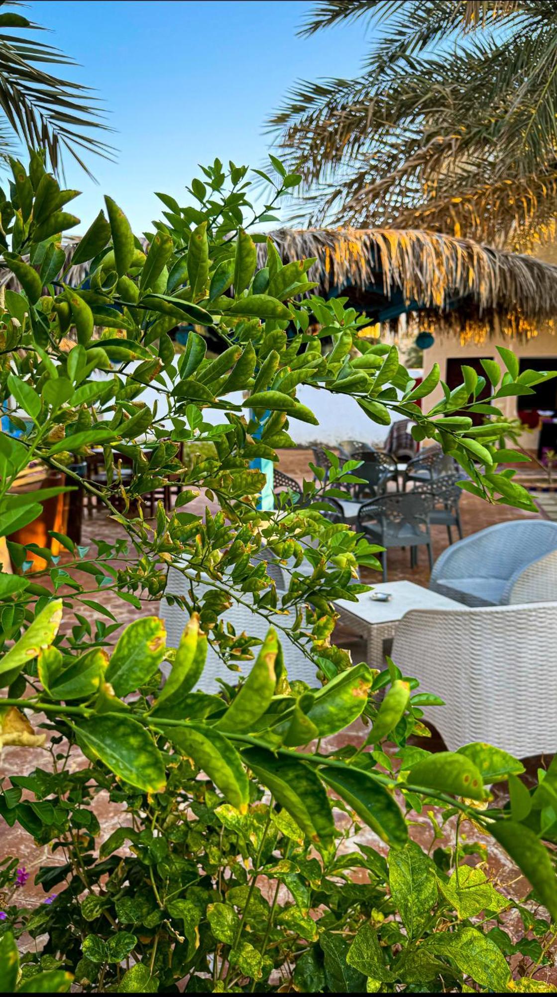 Miramar Camp Dahab Hotel Eksteriør billede
