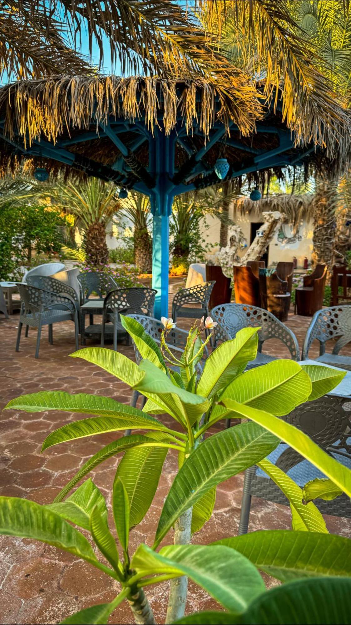 Miramar Camp Dahab Hotel Eksteriør billede