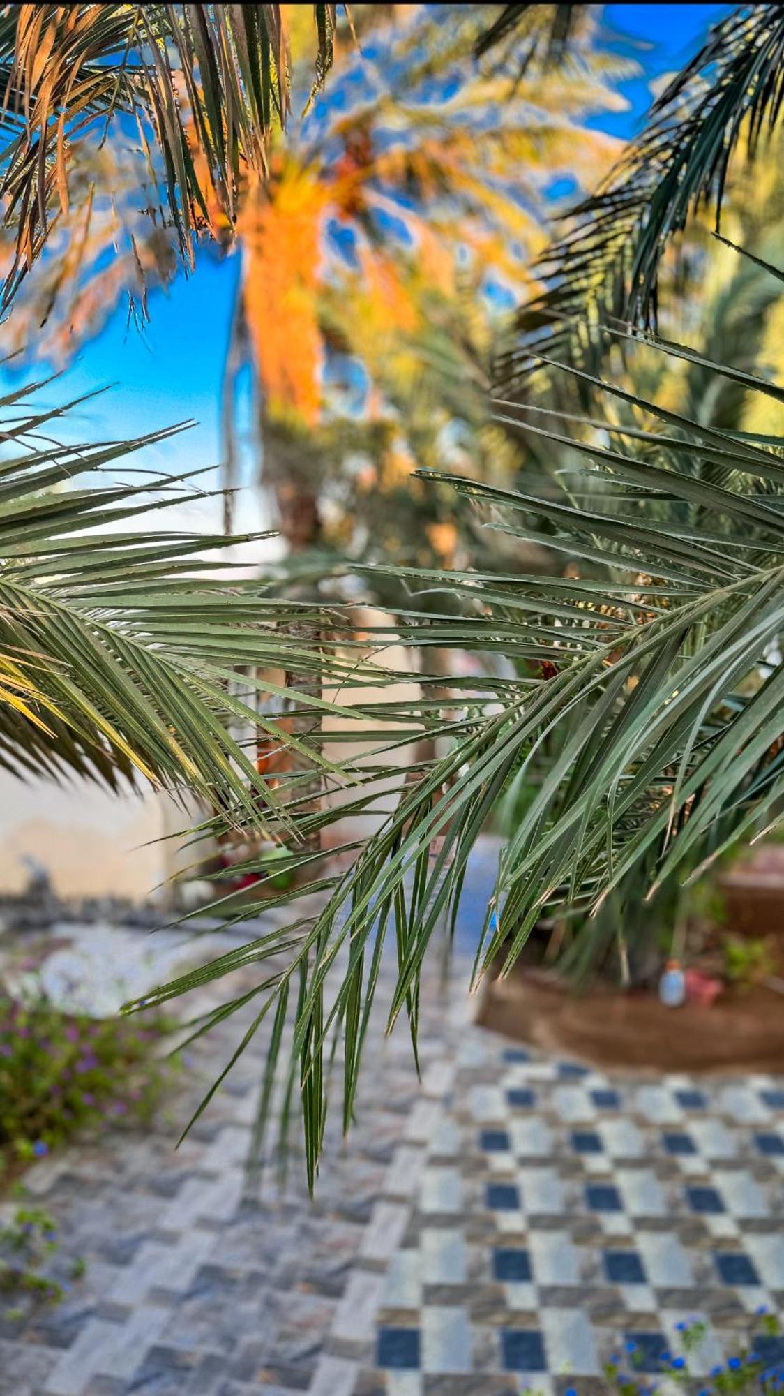 Miramar Camp Dahab Hotel Eksteriør billede