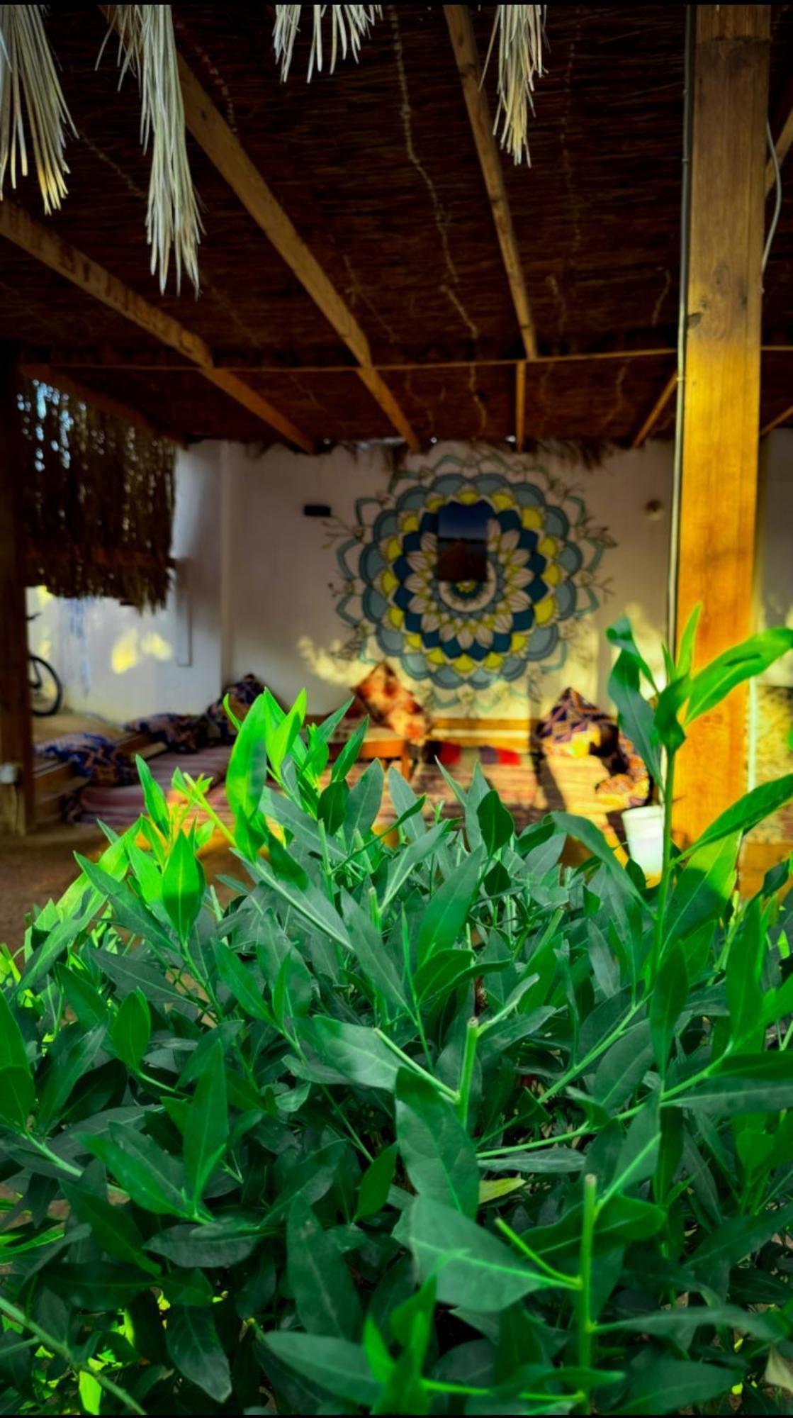 Miramar Camp Dahab Hotel Eksteriør billede
