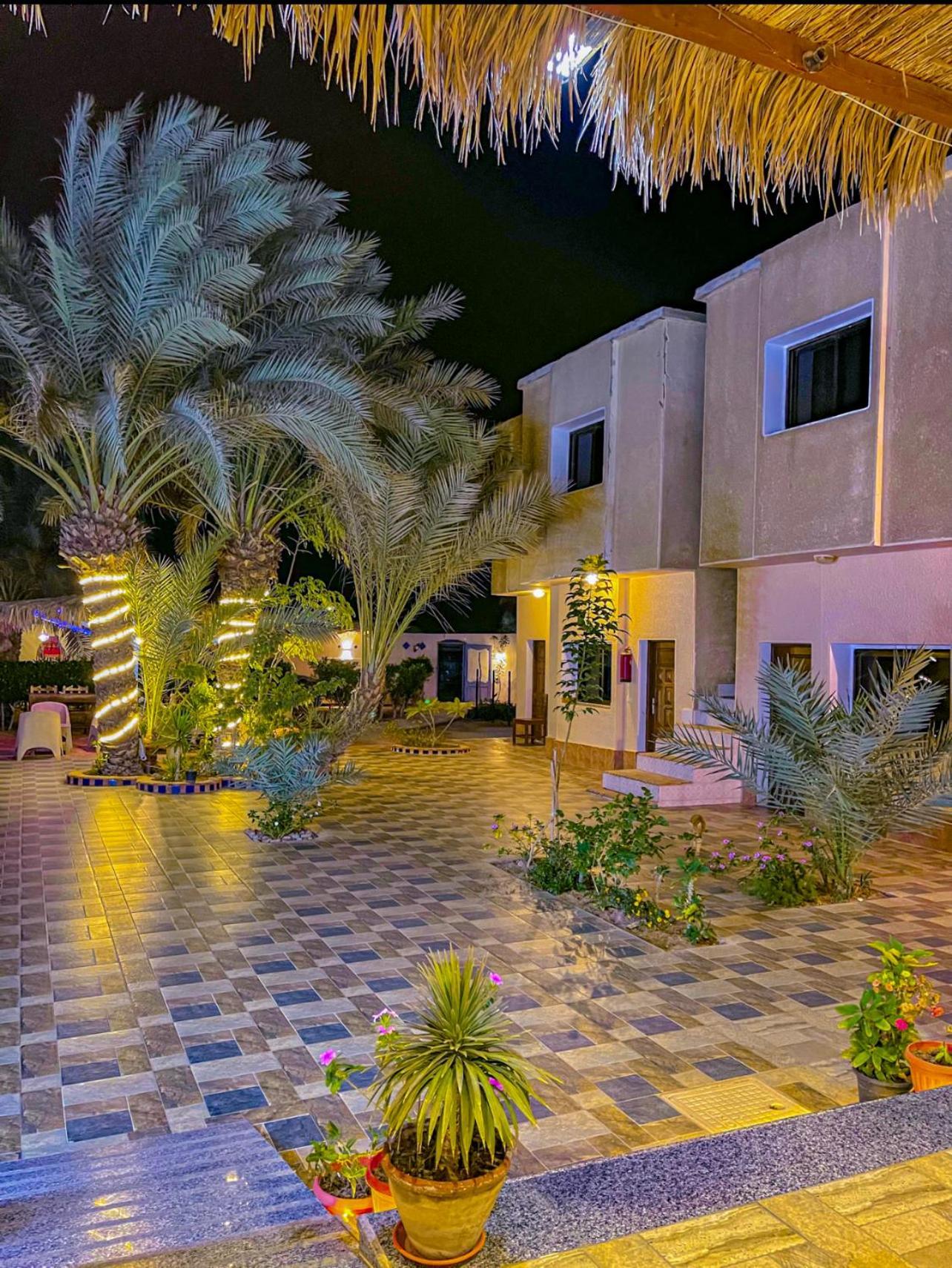 Miramar Camp Dahab Hotel Eksteriør billede