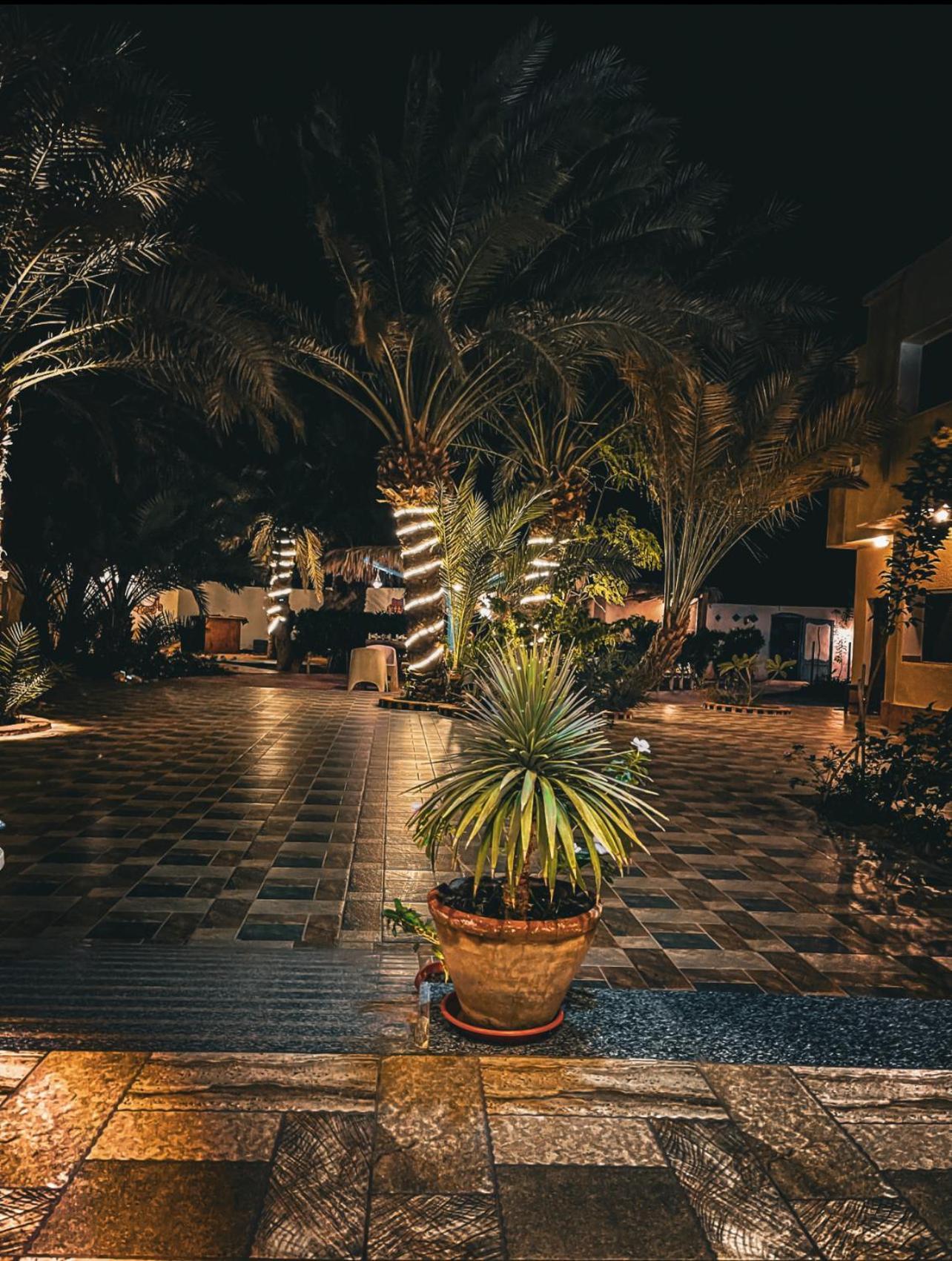 Miramar Camp Dahab Hotel Eksteriør billede