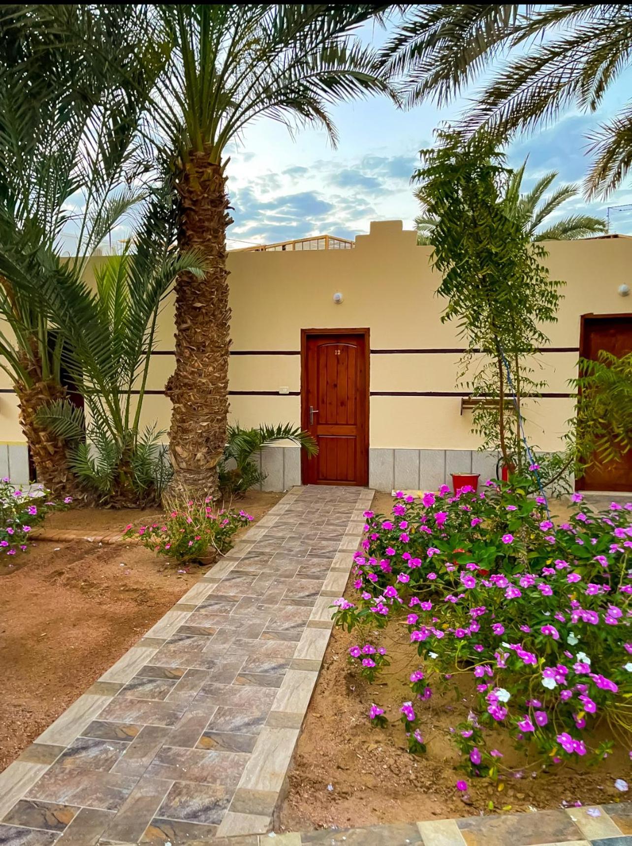 Miramar Camp Dahab Hotel Eksteriør billede