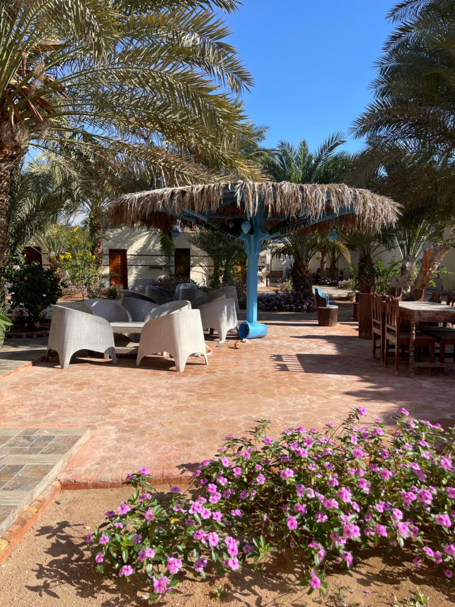 Miramar Camp Dahab Hotel Eksteriør billede
