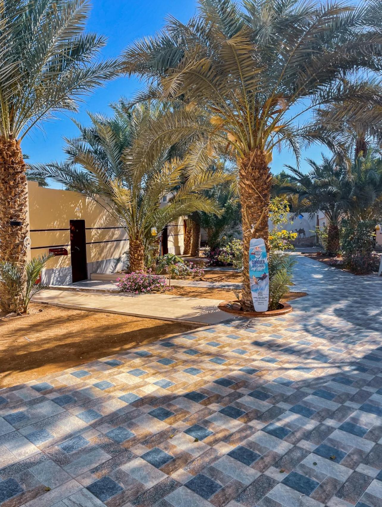 Miramar Camp Dahab Hotel Eksteriør billede