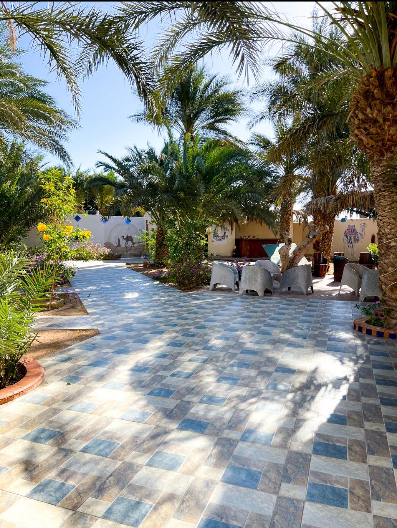 Miramar Camp Dahab Hotel Eksteriør billede